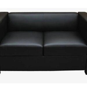 Sofa 2 plazas KW7061-2P alta gama